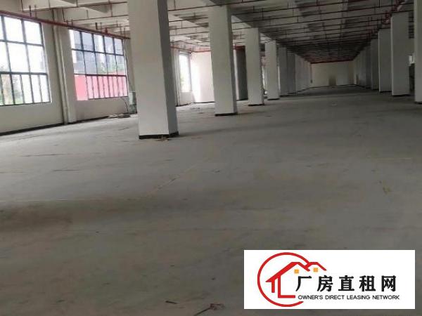  桥头新出形象好，独院厂房