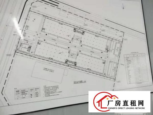  桥头镇有10.6万国有证、房产证、不动产权证高标准厂房