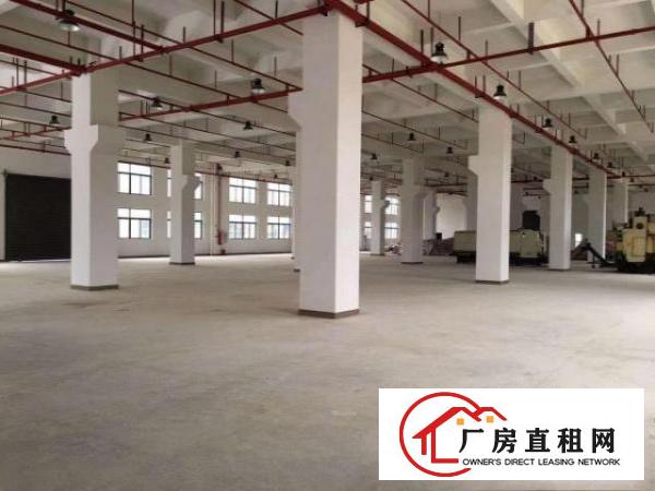  东莞市桥头原房东新建双证厂房出租