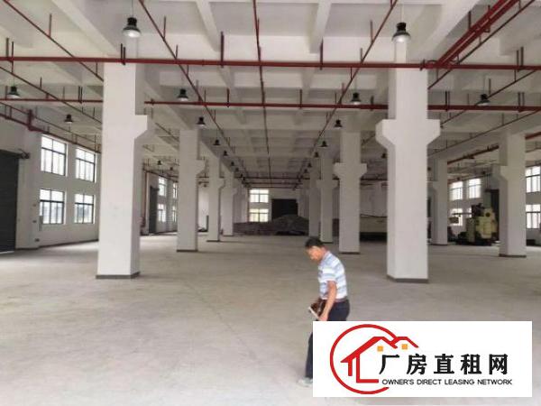 东莞市桥头原房东新建双证厂房出租