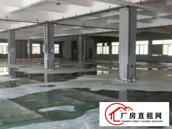  原房东标准独院厂房招租