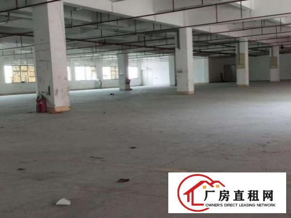  原房东标准独院厂房招租