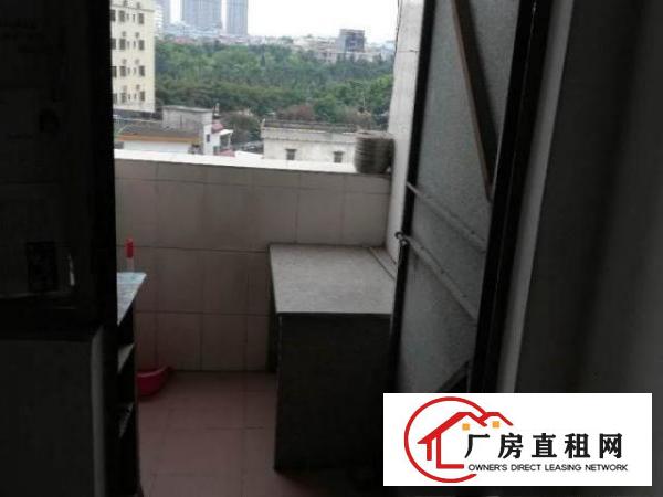 整栋出租房出租，有20间房子