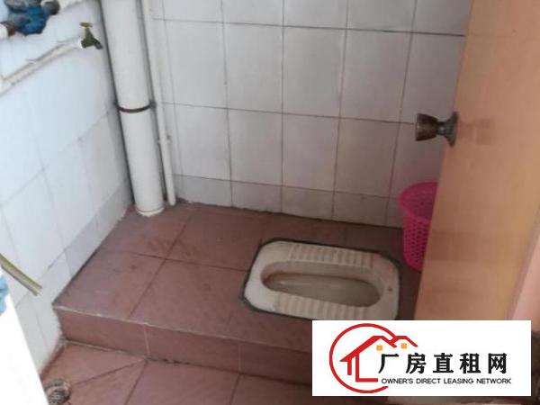  整栋出租房出租，有20间房子