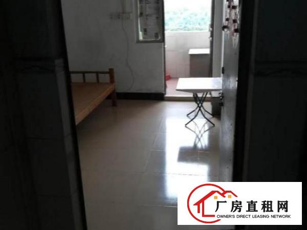  整栋出租房出租，有20间房子