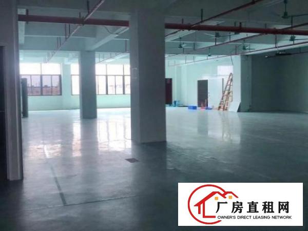  东莞桥头新出精装办公室1728平方，水电齐全，
