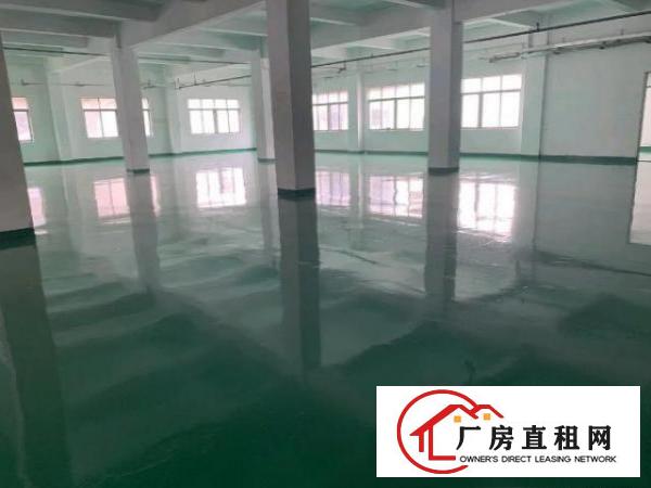  桥头新出独门独院11200平米大小可分租