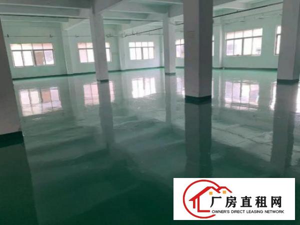  桥头新出独门独院11200平米大小可分租