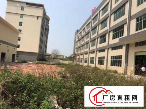  桥头新出独门独院11200平米大小可分租
