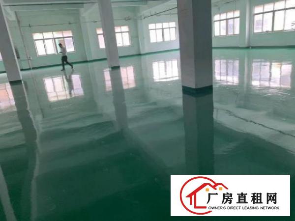  桥头新出独门独院11200平米大小可分租