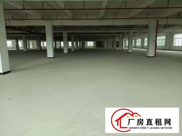 桥头新出独门独院11200平米大小可分租