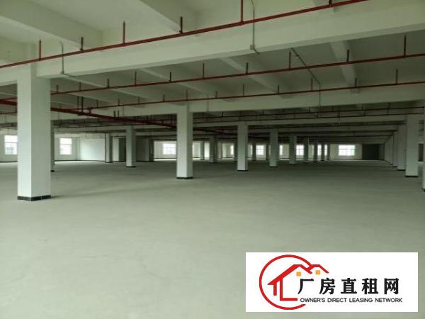  桥头新出独门独院11200平米大小可分租