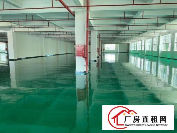  桥头全新厂房一楼5000高度七米带牛角2台3吨全新电梯