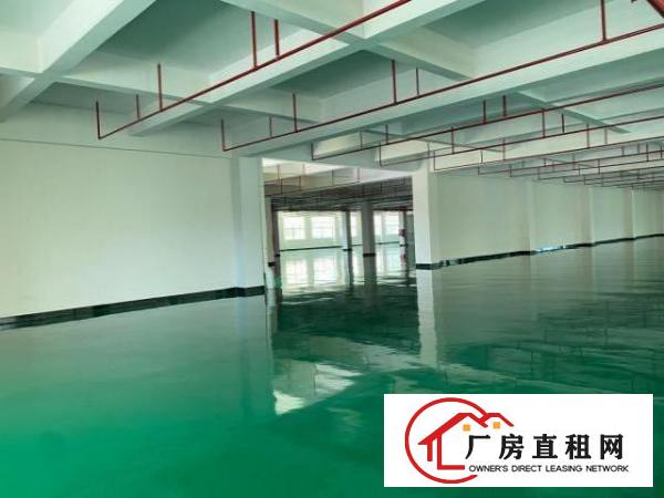  桥头全新厂房一楼5000高度七米带牛角2台3吨全新电梯