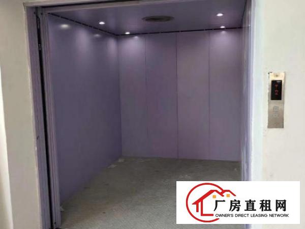 桥头全新厂房一楼5000高度七米带牛角2台3吨全新电梯