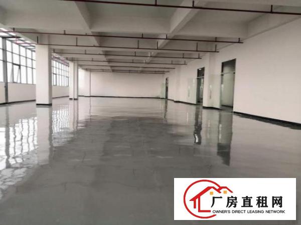  出租桥头镇桥头城区320平方小厂房，水电齐全，办公室精装修