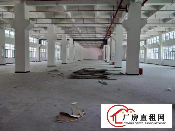  桥头镇原房东独院标准三层现成装修厂房招租