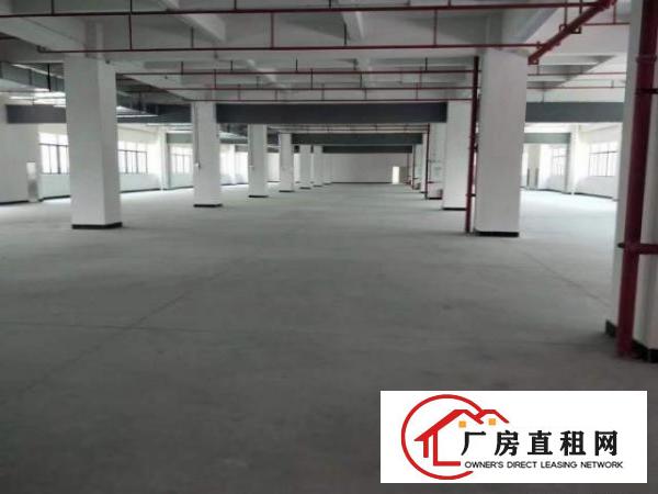  桥头镇原房东独院标准三层现成装修厂房招租