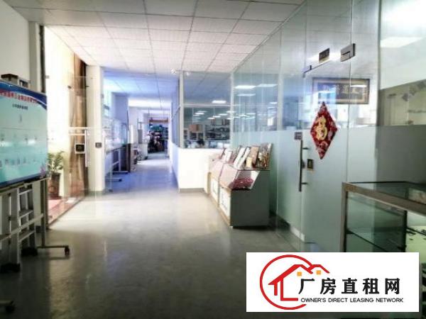  桥头大洲新出原房东一楼整层2000平方带精装修办公室出租