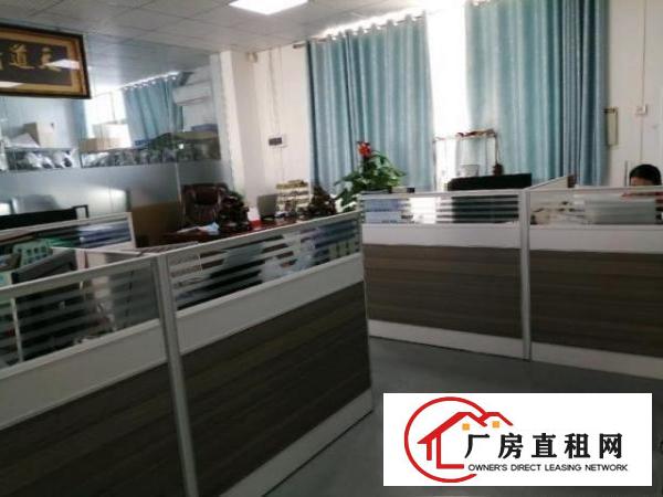  桥头大洲新出原房东一楼整层2000平方带精装修办公室出租