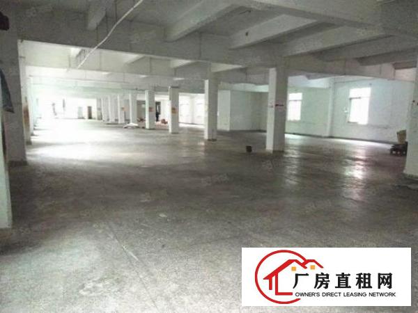  原房东厂房，独门独院，水电齐全，价格可谈