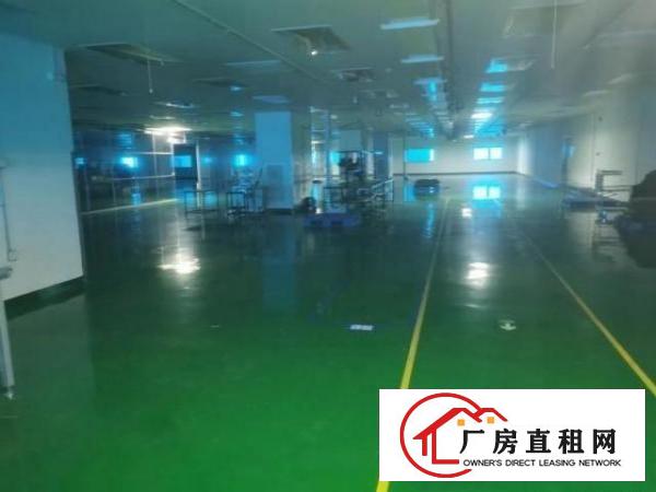  桥头镇原房东三层独院厂房招租