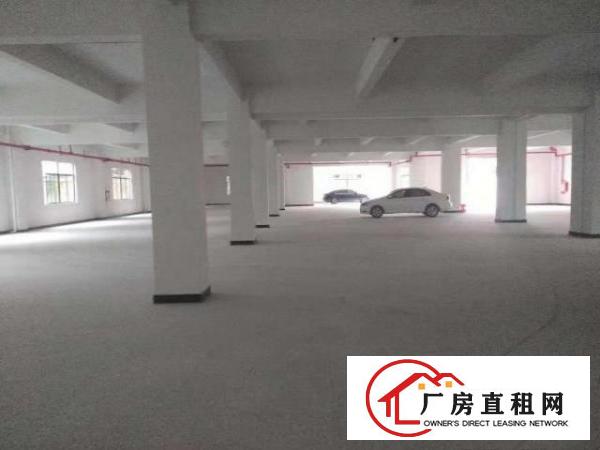  出租桥头桥头城区独院厂房