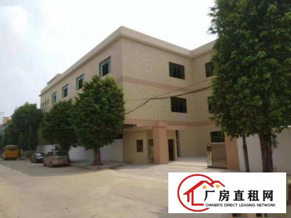  出租桥头桥头城区独院厂房
