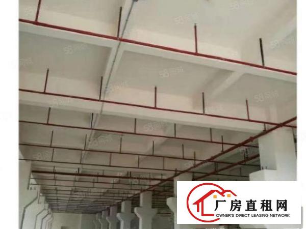 出租，国有证，总面积16万平米红本厂房，可整租，可分租！！