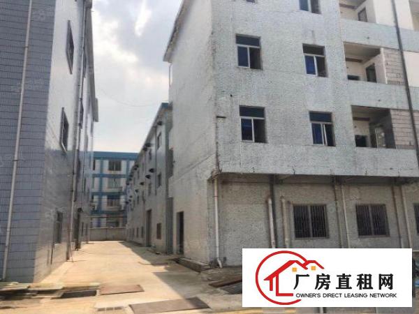  桥头镇新出标准厂房三楼1000平方，可办环评