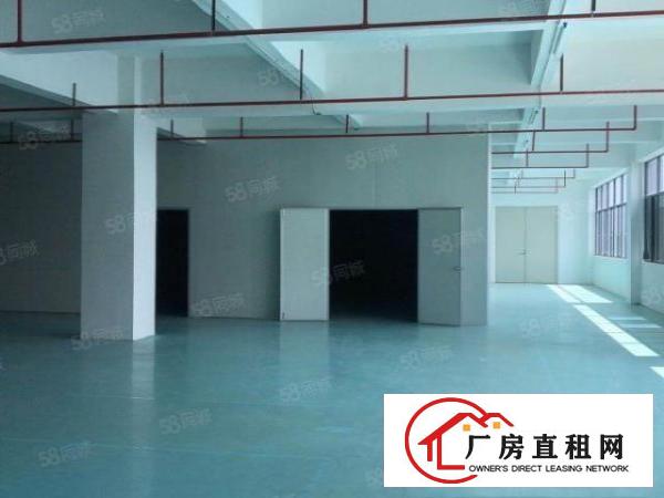  桥头新出楼上带消防喷淋，带地坪漆厂房