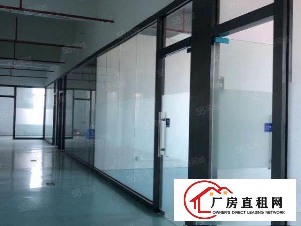  桥头新出楼上带消防喷淋，带地坪漆厂房