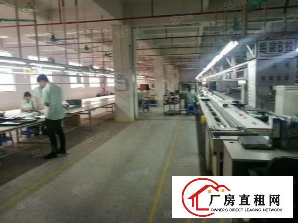  桥头镇新出原房东标准独院。