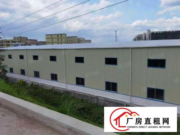  桥头镇新出全新原房东！独院！钢构厂房2800平米出租！