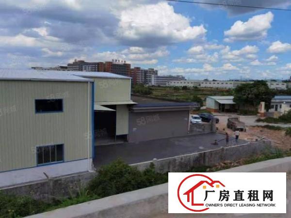  桥头镇新出全新原房东！独院！钢构厂房2800平米出租！