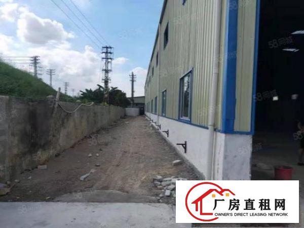  桥头镇新出全新原房东！独院！钢构厂房2800平米出租！