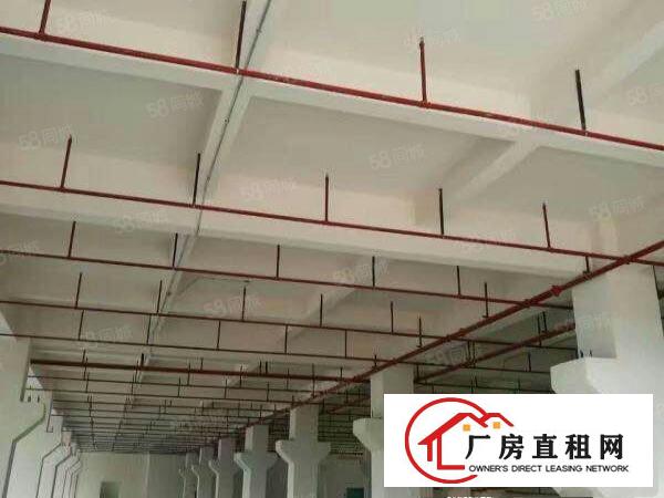  带喷油环评，塑料环评，丝印印刷环评全新厂房出租
