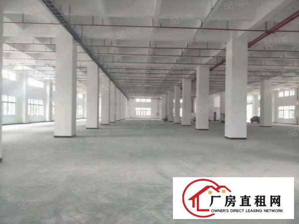  主干道旁新出200平方起租厂房，全景玻璃窗，电足够大