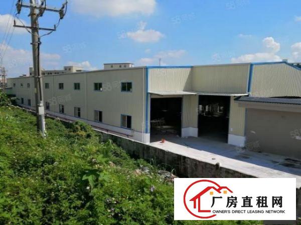  桥头镇新出原房东带抽粒环评厂房独门独院单一层厂房