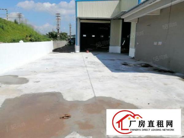 桥头镇新出原房东带抽粒环评厂房独门独院单一层厂房