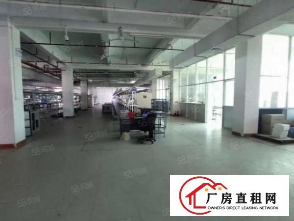  桥头镇新出原房东标准厂房一楼1300平方，空地面积超大