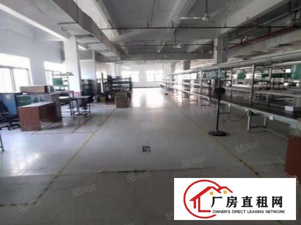  桥头镇新出原房东标准厂房一楼1300平方，空地面积超大