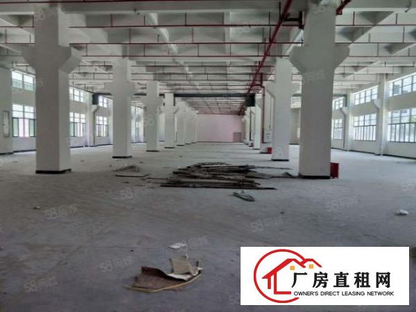  桥头新出原房东现成消防喷淋！化工paizhao证件！厂房