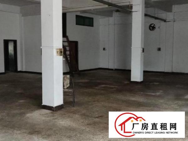  出租桥头屋厦村450平方厂房现成装修水电齐全