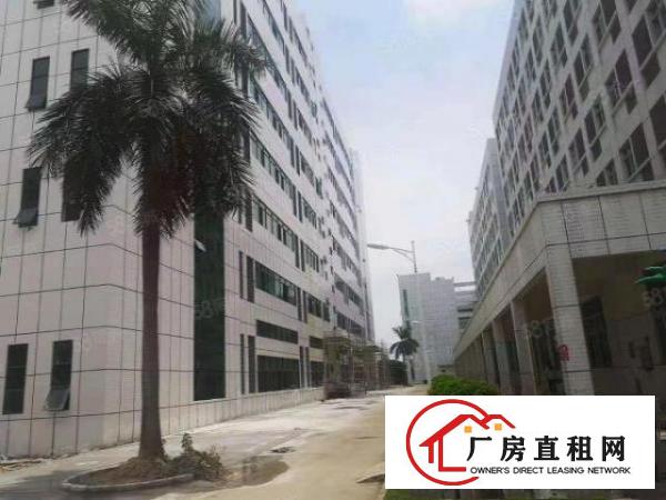 桥头全新红本国土证标准厂房，上市公司，高新科技园区福地