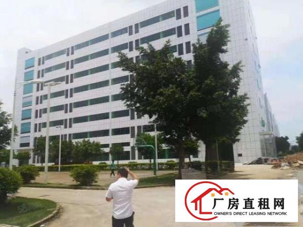  桥头全新红本国土证标准厂房，上市公司，高新科技园区福地