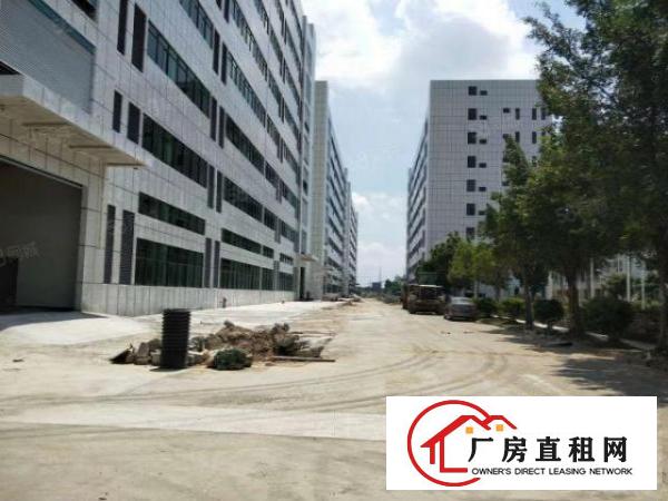  桥头全新红本国土证标准厂房，上市公司，高新科技园区福地