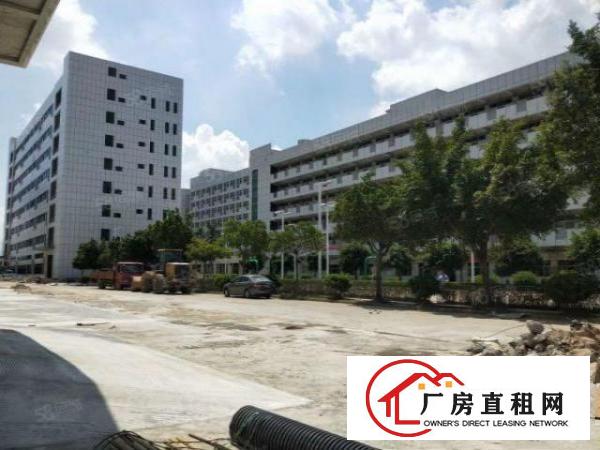  桥头全新红本国土证标准厂房，上市公司，高新科技园区福地