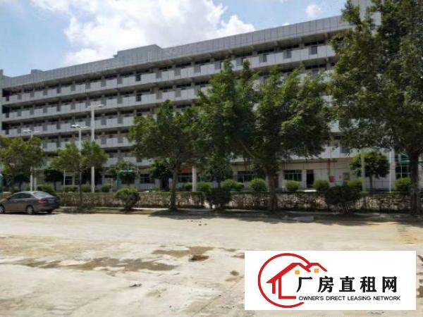  桥头全新红本国土证标准厂房，上市公司，高新科技园区福地