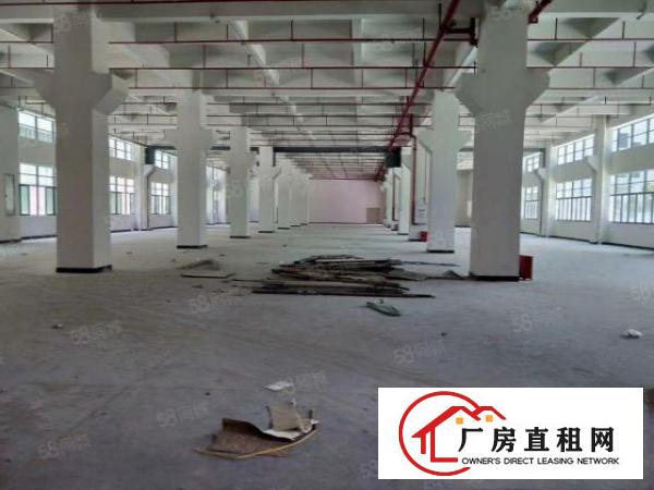  桥头全新红本国土证标准厂房，上市公司，高新科技园区福地
